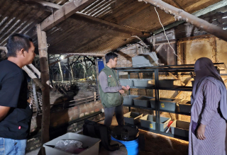 Manfaatkan IoT untuk Budi Daya Maggot, Mahasiswa UNAIR Lolos Pendanaan P2MW