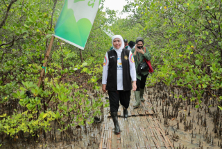 Khofifah Ajak Masyarakat Aksi Nyata Lestarikan Mangrove