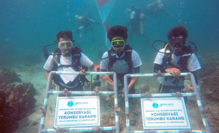Konservasi Lingkungan, Pelindo Terminal Petikemas Tanam 632 Bibit Terumbu Karang