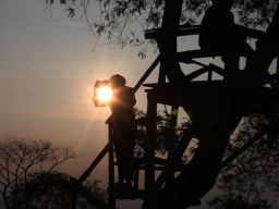 Wisatawan mengabadikan matahari terbit dari rumah pohon yang ada di Bukit Kuneer, salah satu fasilitas Agrowisata Wonosari Kebun Teh Wonosari, Kabupaten Malang, Jawa Timur, Rabu (25/9/2024).