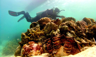 Orang Muda Indonesia Mitra Sejati dalam Melestarikan Keanekaragaman Hayati