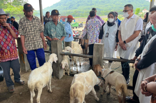 DPRD Jatim Minta Pemerintah Pusat Tingkatkan Status PMK