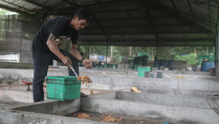 Merdeka Copper Gold Gandeng Warga Lokal Kelola Sampah Domestik untuk Masa Depan Berkelanjutan