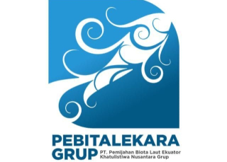 Excellent ! PEBITALEKARA GRUP Menuju Hatchery Pertama di Dunia yang Berhasil Memijahkan Lobster