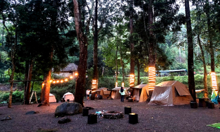 Rekomendasi Wisata Glamping Ningkali Pujon Malang Batu: Pengalaman Liburan Estetis di Alam yang Memukau