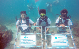 TJSL Pelindo Terminal Petikemas Dongkrak Ekonomi dan Lestarikan Lingkungan