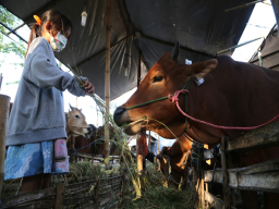 Jadikan Qurban sebagai Media Pendidikan Sosial Anak dan Keluarga