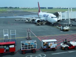 Harga tiket untuk rute Surabaya-Tambolaka dibanderol Rp 1,5 juta untuk sekali jalan, lebih hemat dibandingkan opsi transit yang bisa mencapai lebih dari Rp 2 juta.