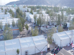 Kabar Gembira di Tengah Hiruk-Pikuk Visa dan Penempatan Syarikah