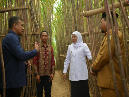 Gubernur Khofifah Apresiasi Inovasi KUR Khusus Tebu: Bondowoso Pacu Swasembada Gula Nasional
