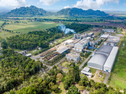 Tantangan dan Peluang Bioetanol: Membangun Masa Depan Energi Indonesia