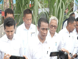 Kejar Target Swasembada Gula Nasional, Mentan RI Kenalkan SGN-01, Bibit Tebu Unggul Varietas Baru
