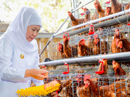 Gubernur Khofifah Siap Replikasi Integrated Farming untuk Wujudkan Kedaulatan Pangan