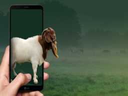 Kurban Digital: Menuju Distribusi Inklusif dan Makna Ibadah yang Terjaga di Era Teknologi