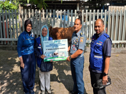 Masjid Subulussalam Sidoarjo Salurkan 16 Sapi dan 6 Kambing Kurban ke Jawa Timur