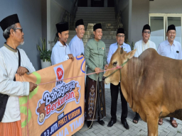 Kuatkan Sinergi dan Silaturahim di Momen Idul Adha, PKS Jatim Serahkan Hewan Kurban ke PWNU, MUI dan PWM