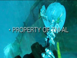 Misteri KMP Tunu Pratama Jaya Terungkap, Bangkai Kapal Ditemukan