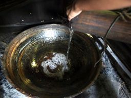 Satu tangkai bisa menghasilkan hingga lima liter la’ang yang manis dan segar.