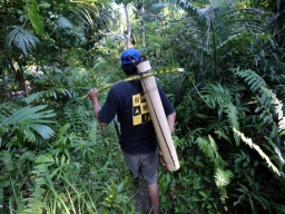 Badrussulur menelusuri rimbunnya hutan yang mengelilingi Dusun Balik Gunung untuk memanen nira atau la’ang. Foto: Ali Masduki/Ayojatim