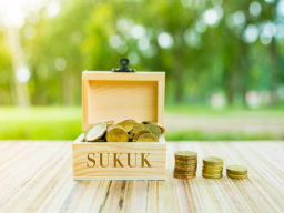 Minat Investasi Sukuk Menurun, Pakar Soroti Rendahnya Literasi dan Minimnya Inovasi