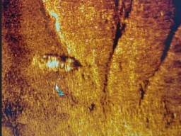 Tragedi Selat Bali, Pakar UNAIR Ungkap Kegagalan Sistemik Keselamatan Laut