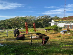 Pengabdian Masyarakat UTM Melalui Revitalisasi Taman TOGA Cempaka di Desa Tampojung Pregih Pamekasan