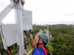 Pasca Merger, XLSMART Raih Laba Bersih Meroket 288% di Kuartal III-2025