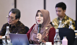 Senator Lia Maklumi Pemadaman Listrik Bergilir, Asal PLN Beri Informasi Publik