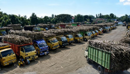 PG Assembagoes Capai Kapasitas Giling 5.500 TCD, Perkuat Target Swasembada Gula Nasional