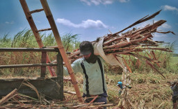 Petani Tebu Blora Bisa Bernapas Lega, PT SGN Pastikan Hasil Panen Tetap Terserap di Musim Giling