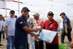 PTPN I Regional 5 Kembangkan Tembakau Ekspor di Klaten, Akses Air Petani Ikut Diperkuat
