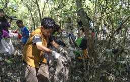 Aksi Bocah SD Selamatkan Akar Mangrove Wonorejo Surabaya dari Plastik