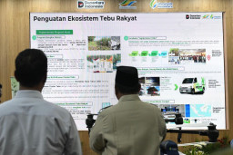 Prabowo Pimpin Panen Raya Tebu Nasional di 43 Titik, PT SGN Optimistis Swasembada Gula Konsumsi Bisa Dipercepat