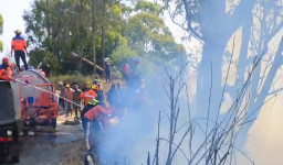 Respon Kebakaran Hutan dan Lahan di Bromo, Tim BPBD Jatim Kerahkan Drone Water Spray dan Truk Pemadam Kebakaran