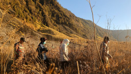 Gubernur Khofifah Turun Langsung Meninjau Penanganan Kebakaran Hutan di Kawasan Taman Nasional Bromo Tengger Semeru