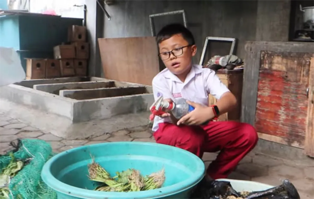 Kisah Dewangga, Anak SD yang Sukses Budidaya Maggot
