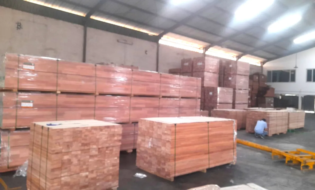Saham KAYU: Apakah Mampu Mengukir Sukses Seperti “Si Tukang Kayu"?
