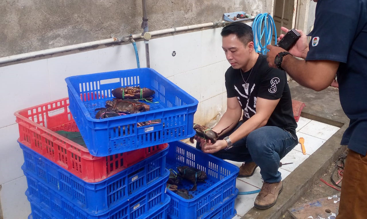 Kisah Alumni Unitomo Surabaya yang Sukses Budidaya Kepiting dengan Cara Modern