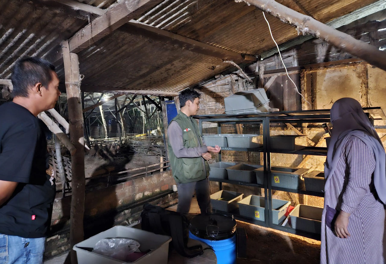 Manfaatkan IoT untuk Budi Daya Maggot, Mahasiswa UNAIR Lolos Pendanaan P2MW