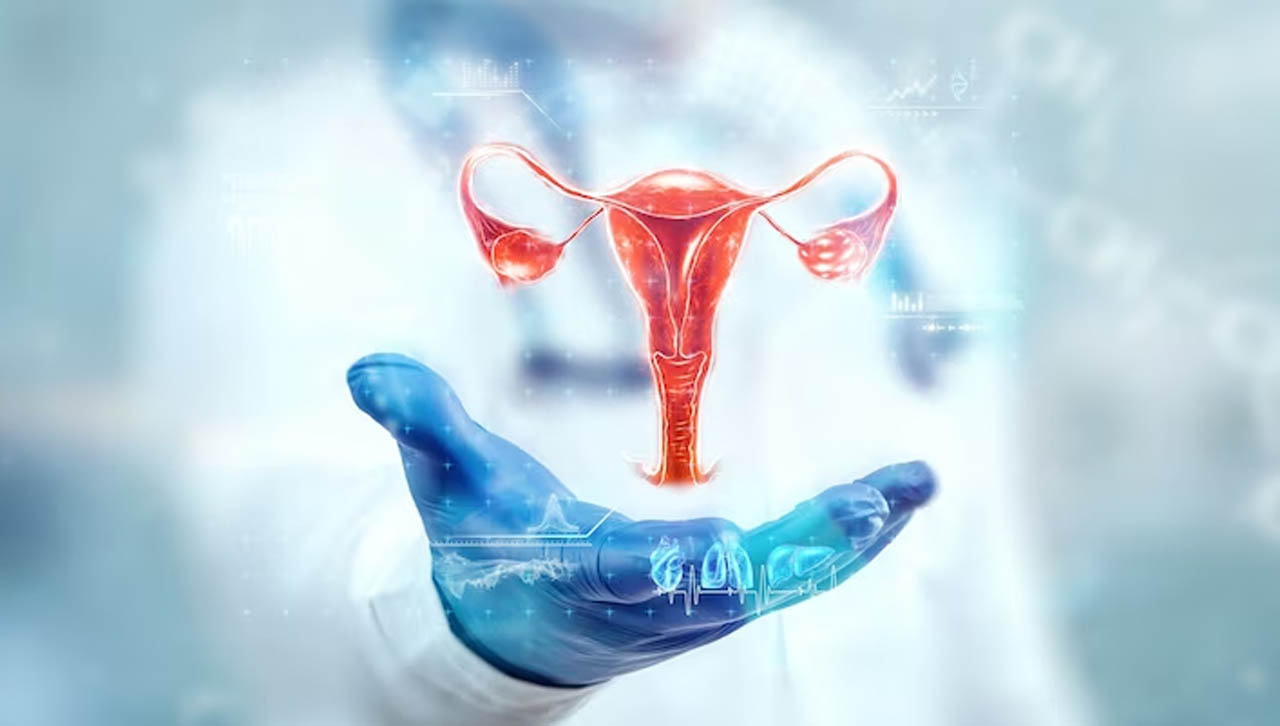 Banyak kasus yang dialami perempuan terkait dengan kesehatan organ intimnya. Foto/drpranathireddygynecologist