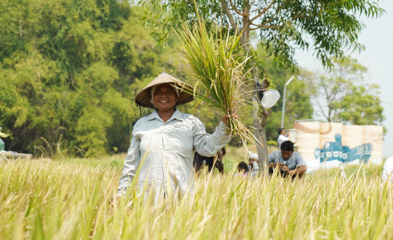 Kelompok petani lahan kering di Desa Petaonan, Kabupaten Bangkalan, Pulau Madura, Jawa Timur, memanen padi untuk kedua kalinya pada tahun ini. Foto/Pelindo Marine