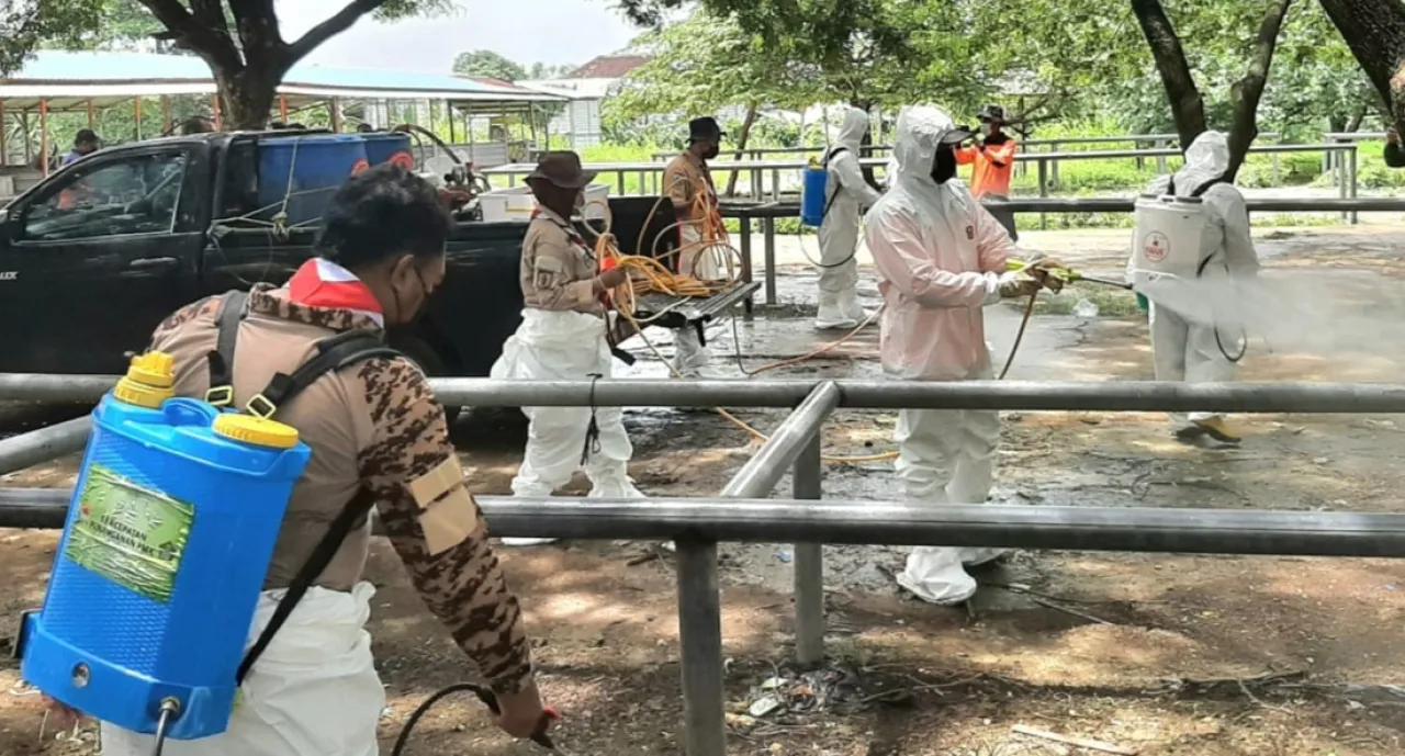 BPBD Jatim Kolaborasi dengan Kwarda Pramuka Lakukan Penyemprotan Preventif PMK di Wilayah Gresik