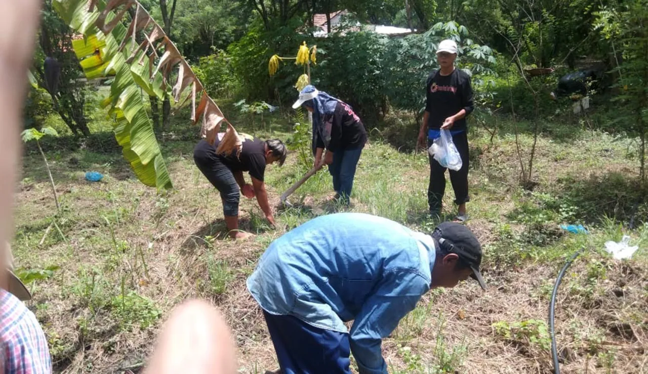 Arek-Arek Nusantara Rayakan Anggoro Kasih dengan Menanam Empon-empon di Alas Nusantara