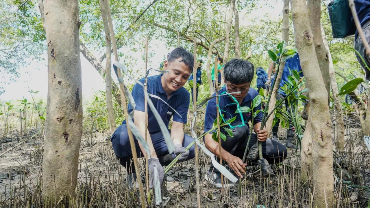 PT PAL Indonesia Tanam Ratusan Bibit Mangrove, Jaga Ekosistem Pesisir Surabaya