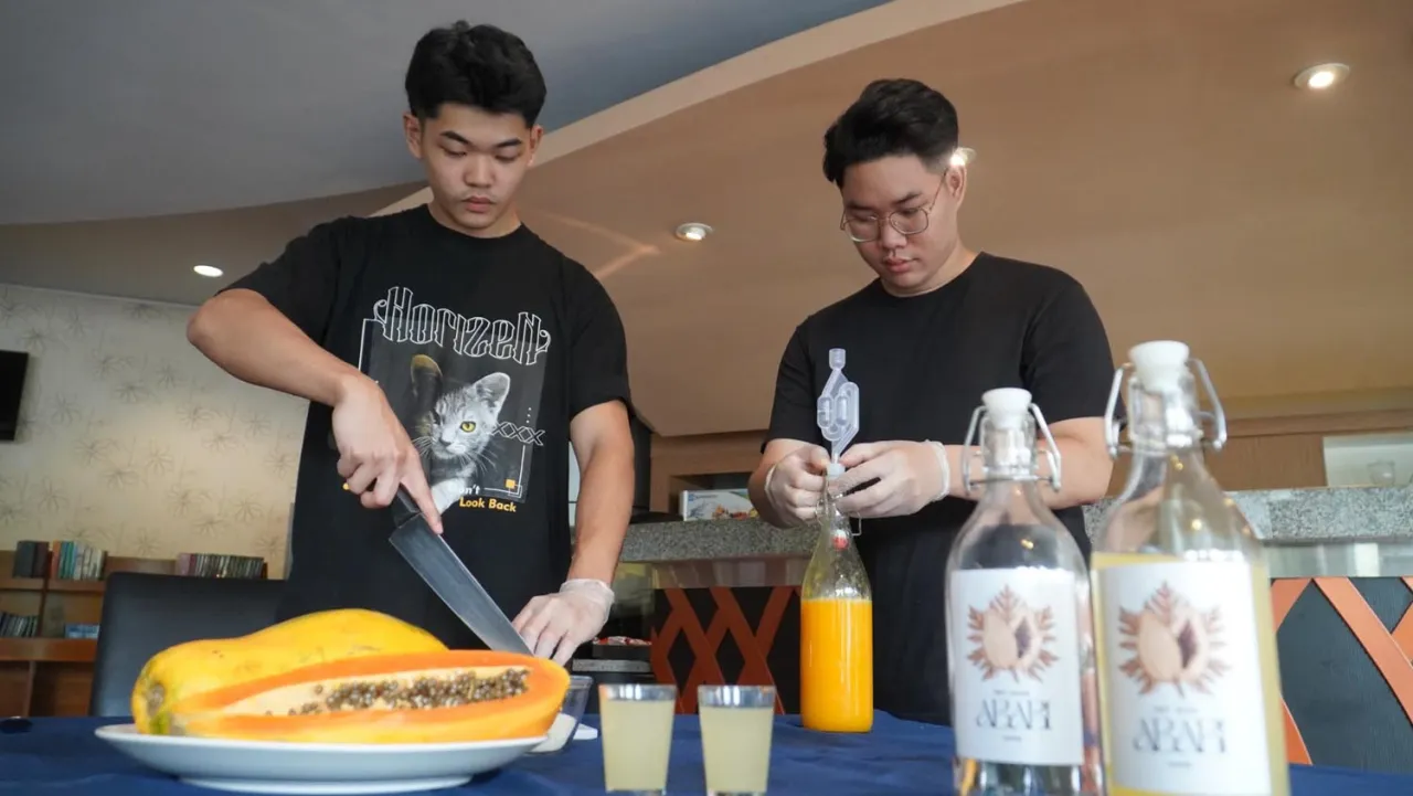 Peracik Handal, Mahasiswa di Surabaya Olah Pepaya Bangkok Jadi Wine