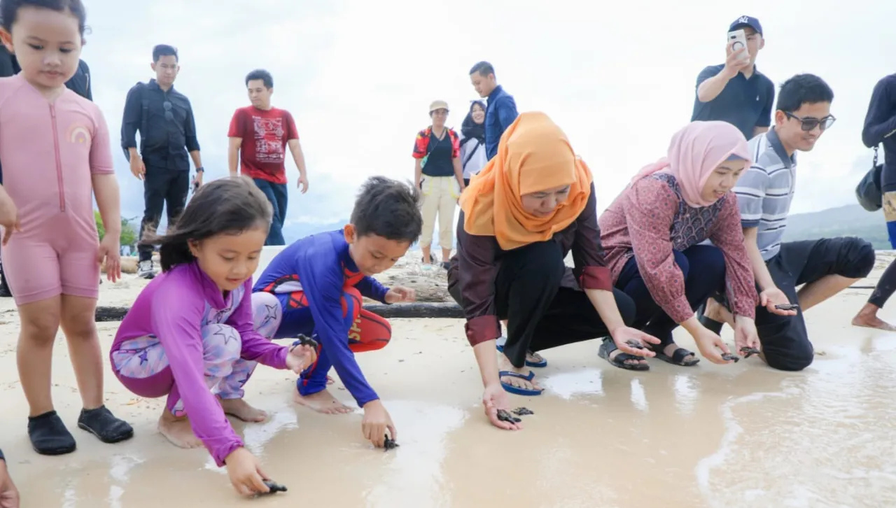 Gubernur Khofifah Lepas Puluhan Tukik di Pulau Tabuhan Banyuwangi