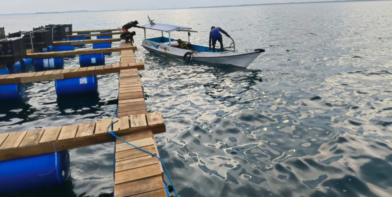 Balad Group Mulai Proses Pemindahan Keramba ke-4 ke Teluk ke-4
