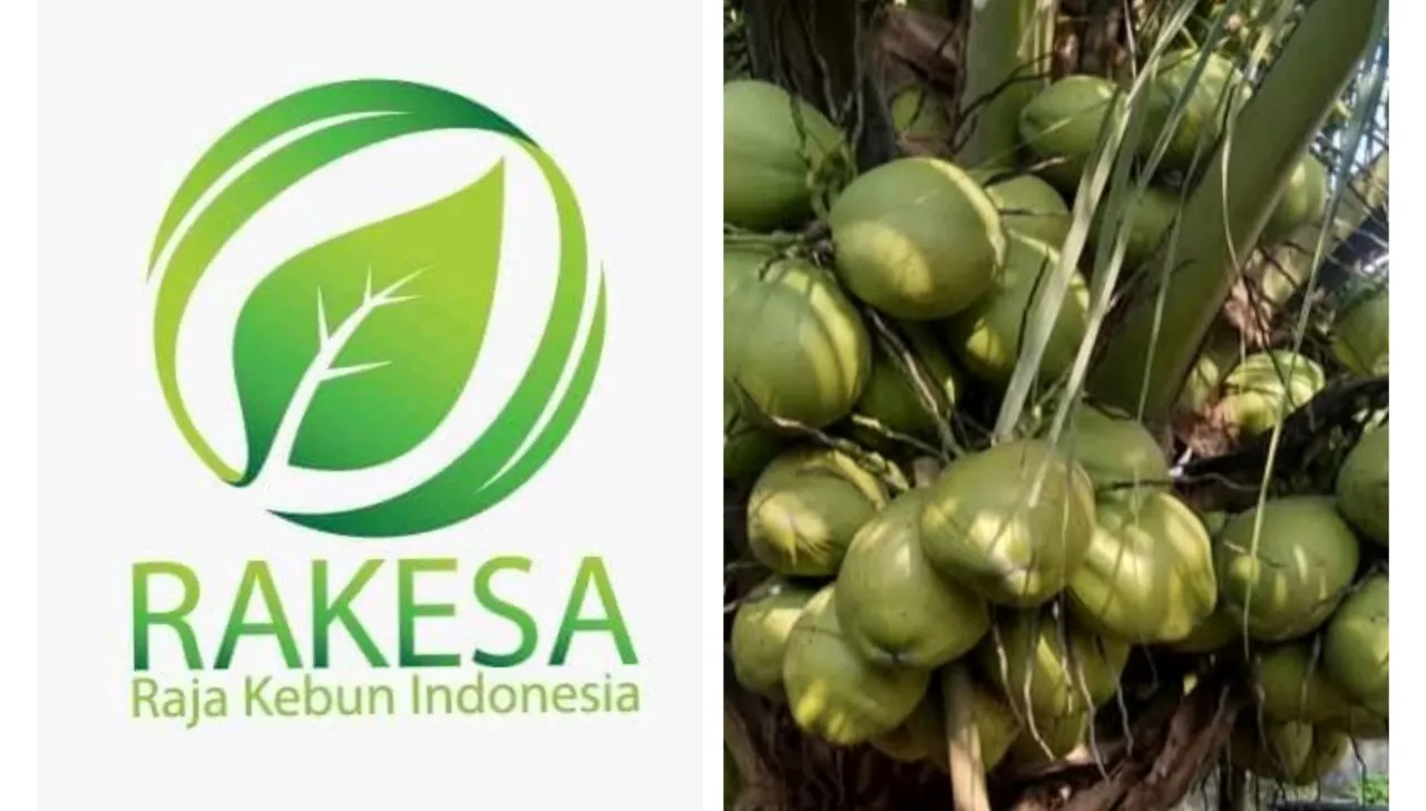 Tanam Sejuta Bibit Kelapa Genjah Entok, RAKESA Tawarkan Konsepsi Industrialisasi Berbasis Kerakyatan