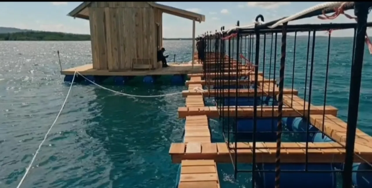 Dalam Enam Bulan, Balad Group Target Kembangbiakan 1 Miliar Nuplisoma Lobster