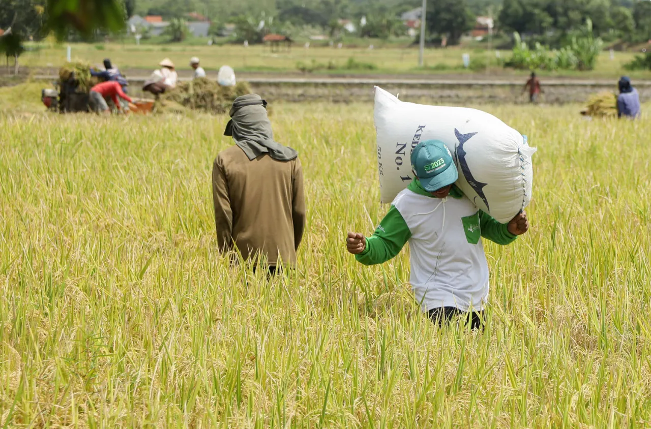 Program MAKMUR Pupuk Indonesia Sentuh 128 Ribu Petani di Kuartal I 2025